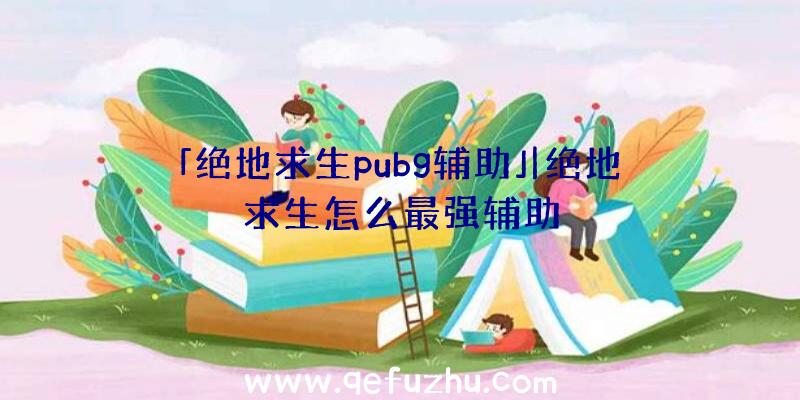 「绝地求生pubg辅助」|绝地求生怎么最强辅助